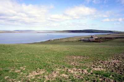 Walk photo