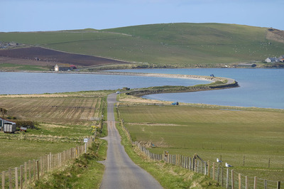 Walk photo