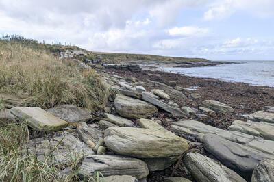 Walk photo