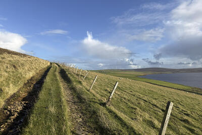 Walk photo
