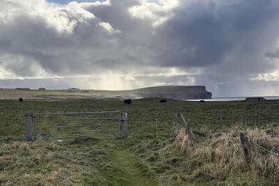 Walk photo