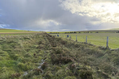 Walk photo
