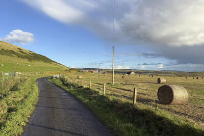 Walk photo