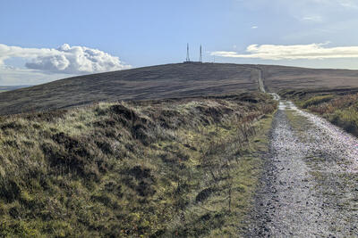 Walk photo