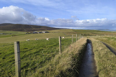 Walk photo