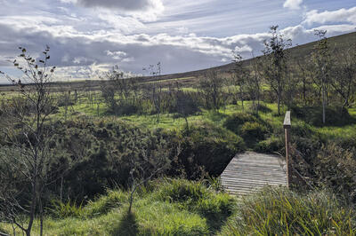 Walk photo