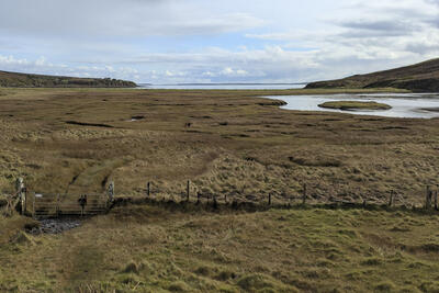 Walk photo
