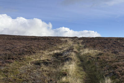 Walk photo