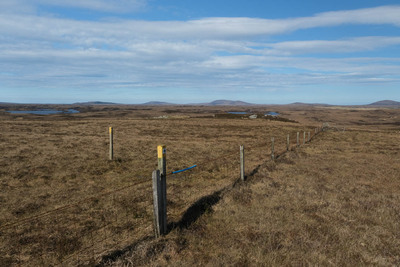 Walk photo