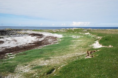 Walk photo