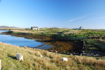 Walk photo