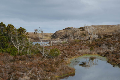 Walk photo
