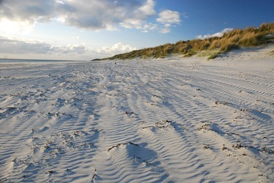 Walk photo