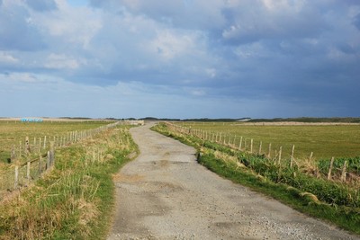 Walk photo