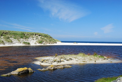 Walk photo