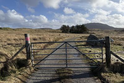 Walk photo