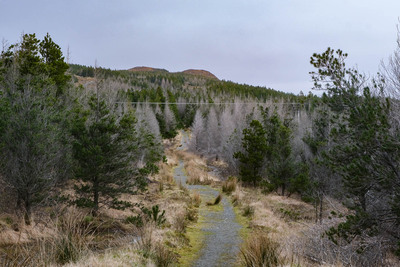 Walk photo