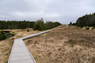 Walk photo