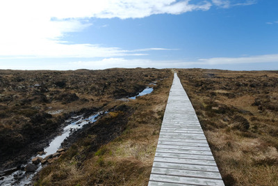 Walk photo