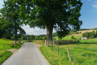 Walk photo
