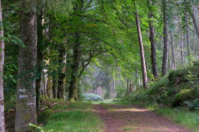 Banvie burn and bridges, Blair Atholl