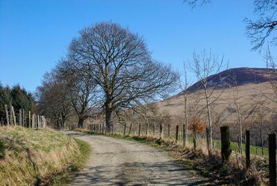 Walk photo