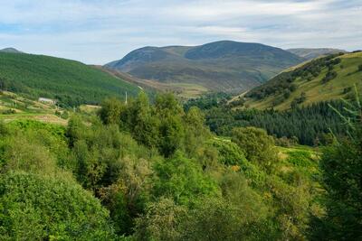 Glen Tilt viewpoint, Blair Atholl