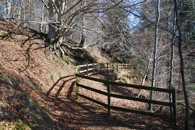 Walk photo