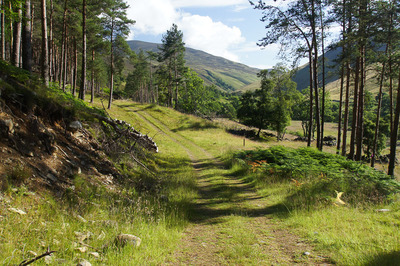 Walk photo