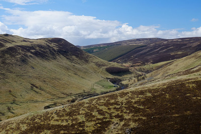 Walk photo