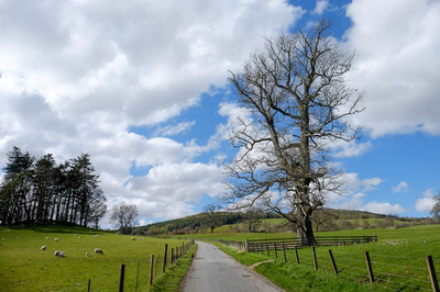 Walk photo