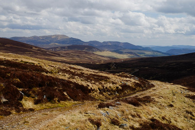 Walk photo