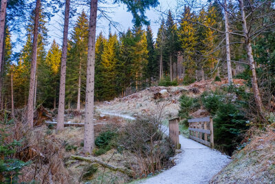 Walk photo