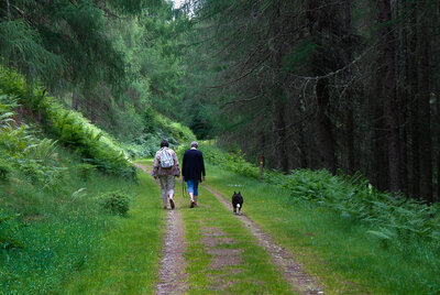 Walk photo