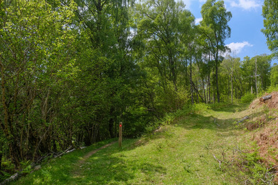 Walk photo