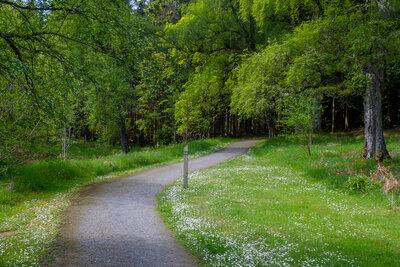Walk photo