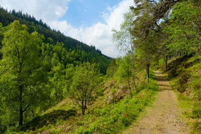 Walk photo