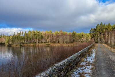 Walk photo