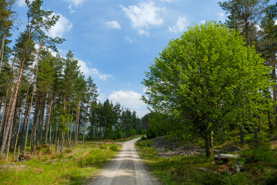 Walk photo