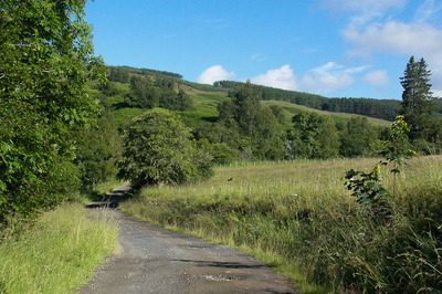 Walk photo