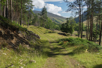 Walk photo