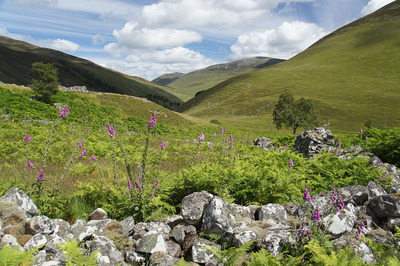 Walk photo