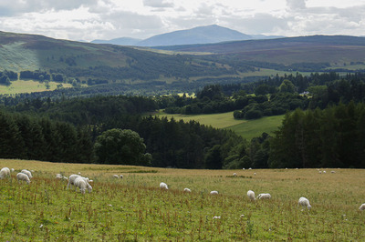 Walk photo