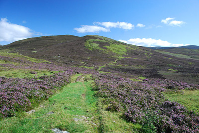 Walk photo