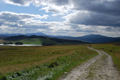 Walk photo