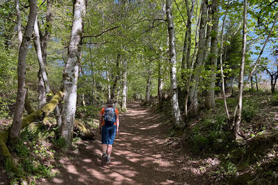 Walk photo