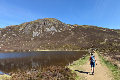 Ben Vrackie, near Pitlochry