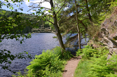 Walk photo