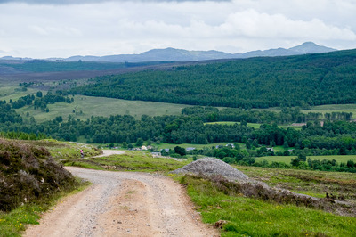 Walk photo