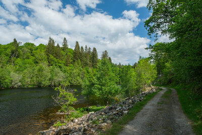 Walk photo